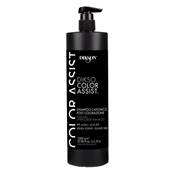 Dikson Champu Color Assist 1000ml